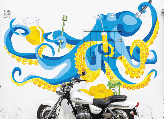 Funchal poulpe Street Art