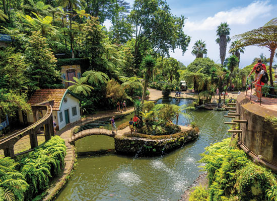 Funchal jardin Monte Palace