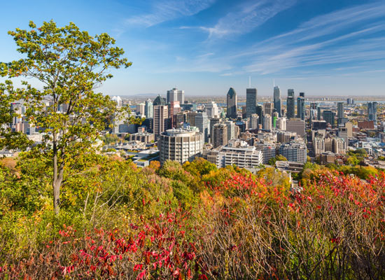 Mont Royal Montréal