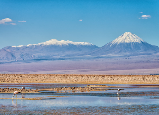 lagune de Chaxa San Pedro de Atacama