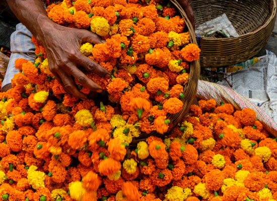 marché aux fleurs Calcutta Bengale occidental Inde
