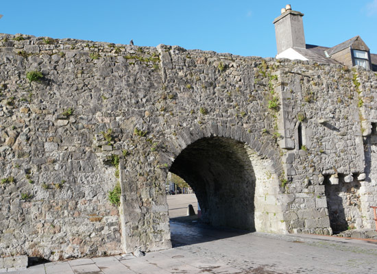 L’Arche espagnole Galway Irlande