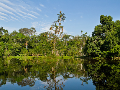 Croisière Rio Napo - Forêt Equatorienne